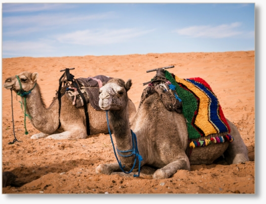 Guided Camel Trek in Merzouga - 2 Nights Desert Camp with Dinner