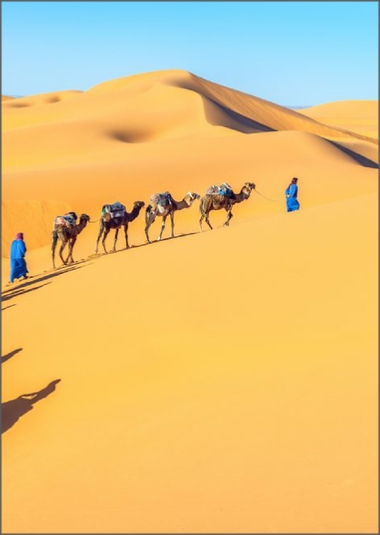 Guided Camel Trek in Merzouga - 2 Nights Desert Camp with Dinner