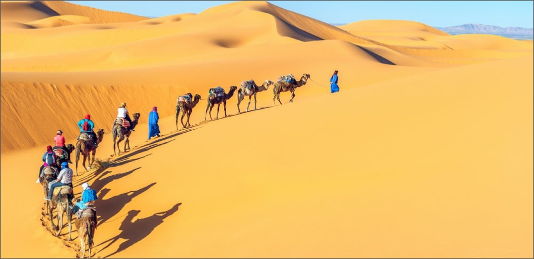 Guided Camel Trek in Merzouga - 2 Nights Desert Camp with Dinner