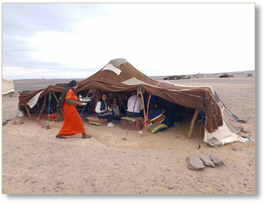 Half Day Merzouga Desert Hiking Tour with Local Guide