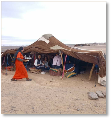 Half Day Merzouga Desert Hiking Tour with Local Guide