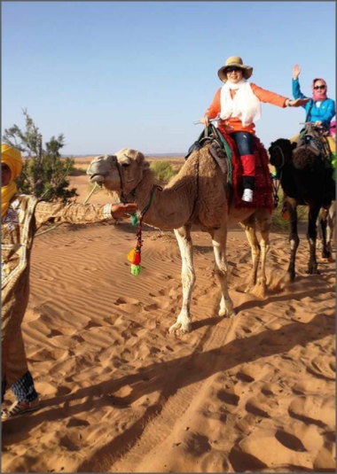 Guided Camel Trek in Merzouga - 1 Night Desert Camp with Dinner
