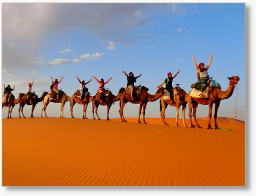 Guided Camel Trek in Merzouga