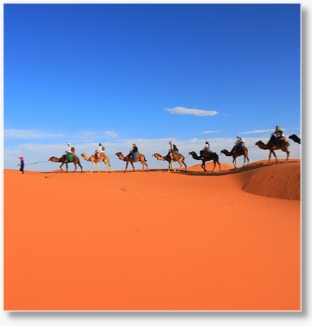 Discover the Thrill of the Sahara