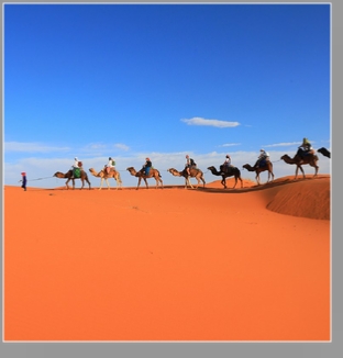 Discover the Thrill of the Sahara